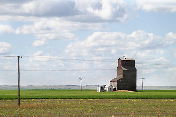Image showing Prairie Landscape