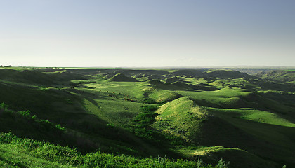 Image showing Cattle Round Up