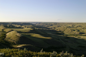 Image showing Cattle Round Up