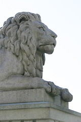 Image showing Lion Statue