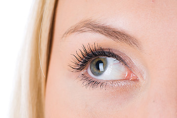 Image showing Woman eye