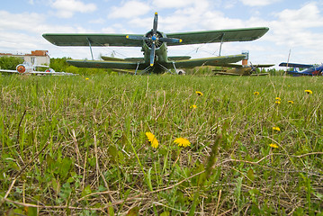 Image showing Airplane on dandelion field