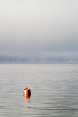 Image showing Buoy in the Fog