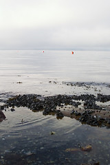 Image showing Fjord Coast