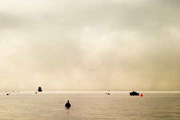 Image showing Buoy in the Fog