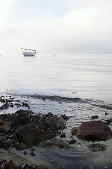 Image showing Sail Boat in Fog