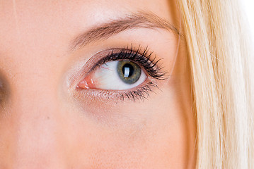 Image showing Woman eye