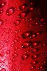 Image showing water drops on tulip petal background