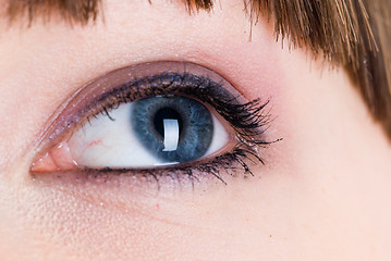 Image showing Woman eye