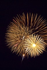 Image showing Fireworks flower