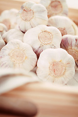 Image showing garlic