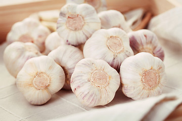 Image showing garlic