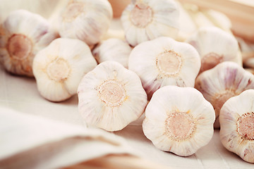 Image showing garlic