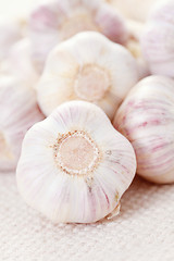 Image showing garlic