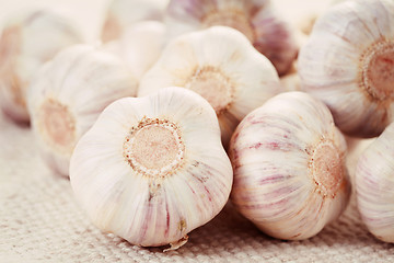 Image showing garlic