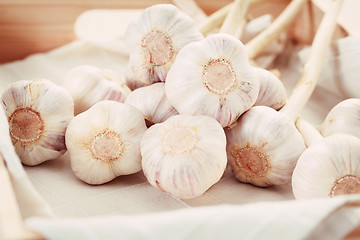 Image showing garlic