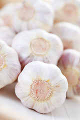 Image showing garlic