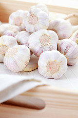 Image showing garlic