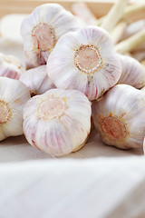 Image showing garlic