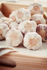 Image showing garlic