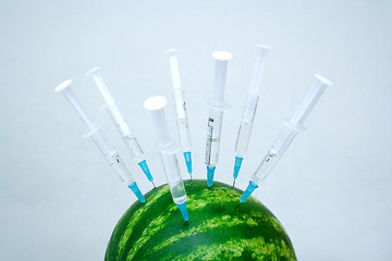 Image showing water melon with a hypodermic syringes