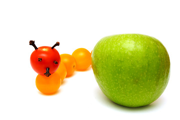 Image showing tomato caterpillar with a green apple