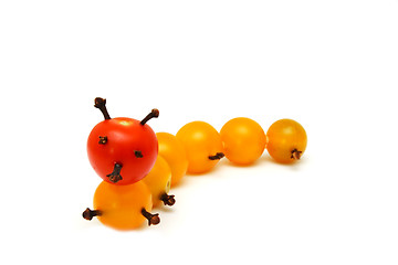 Image showing caterpillar is created with a  tomatoes