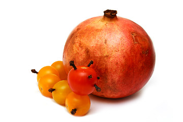 Image showing tomato caterpillar with a pomegranate