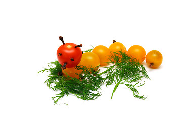 Image showing tomato caterpillar with a fennel