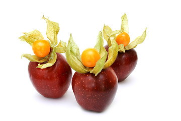 Image showing Physalis and fresh red apples