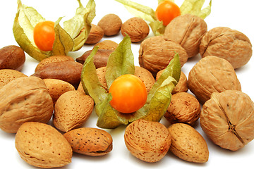 Image showing Physalis and nuts