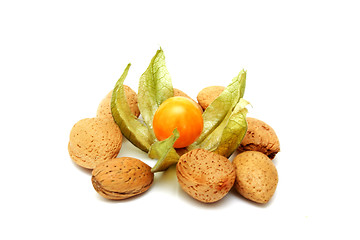 Image showing Physalis and nuts