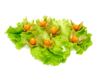 Image showing Physalis and salad