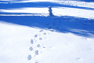 Image showing snow in the yard and snowman