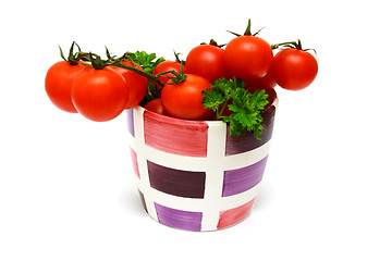 Image showing fresh red vine tomatoes