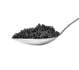 Image showing Black caviar in spoon isolated on white