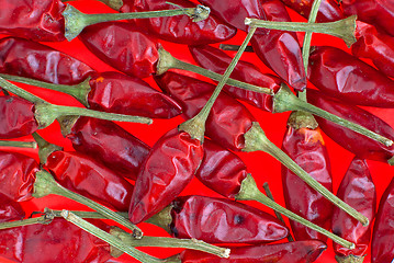 Image showing Red chilli peppers