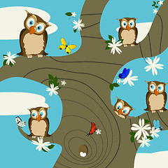 Image showing Owls