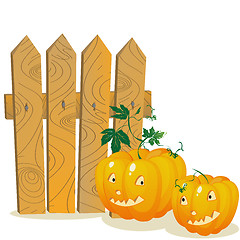 Image showing Pumpkins