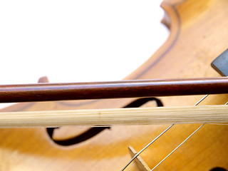 Image showing Violin