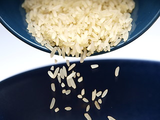 Image showing Rice