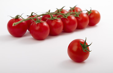 Image showing ripe cherry tomatoes on a branch