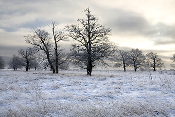 Image showing winter landscape