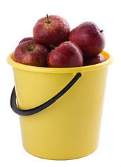 Image showing     red apples in a yellow bucket