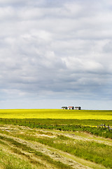 Image showing Prairie Landscape