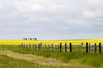 Image showing Prairie Landscape - Fence Line