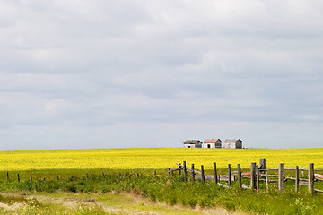 Image showing Prairie Landscape - Fence Line