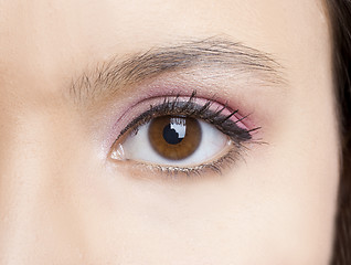 Image showing Eye Makeup