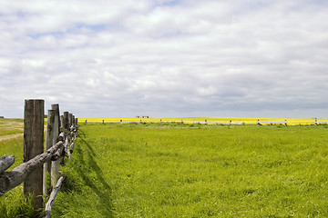 Image showing Prairie Landscape - Fence Line