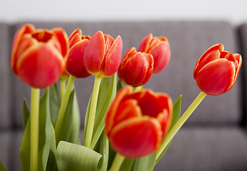 Image showing Orange Tulips